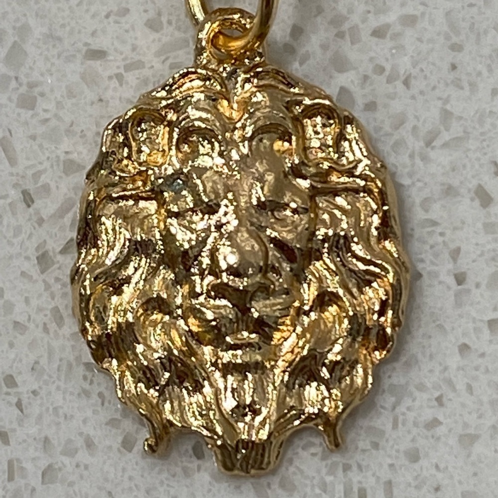 🦁Host Pick🦁Lion and gem medallion layered necklace. New.